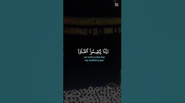 تلاوة رائعة من سورة إبراهيم #قرآن كريم #اكسبلور #لايك
