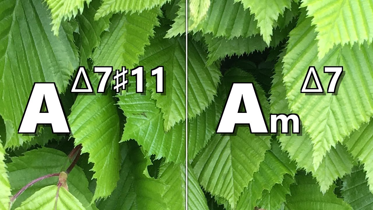 Amaj7#11 to Am maj7 Backing Track