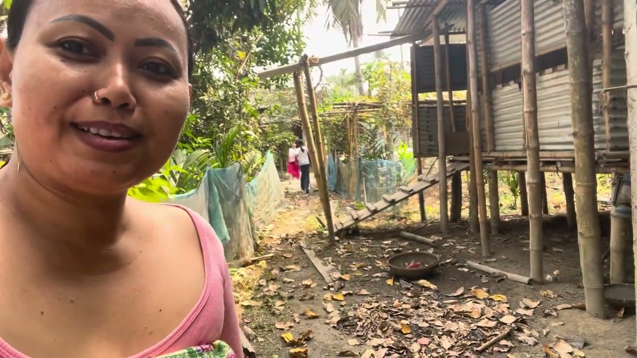 Maibra pita khalambai lwgwfwr 