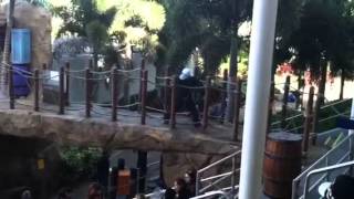 El Feroz Harlem shake sea world Edddition