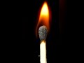 Close-up of a match being put out by water droplets. #Satisfying #ASMR #Match #Water #Relaxing