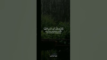 يأيها الناس اتقوا ربكم أن زلزلة الساعة شئ عظيم | القارئ : أحمد العجمي |