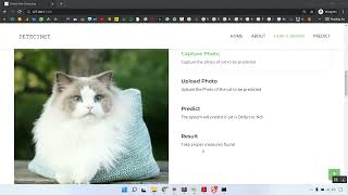 DefectNet Detection Classification CNN Flask App in Python Projects