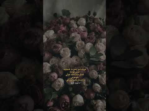 لونك مو دمع ما ضمتك عيني