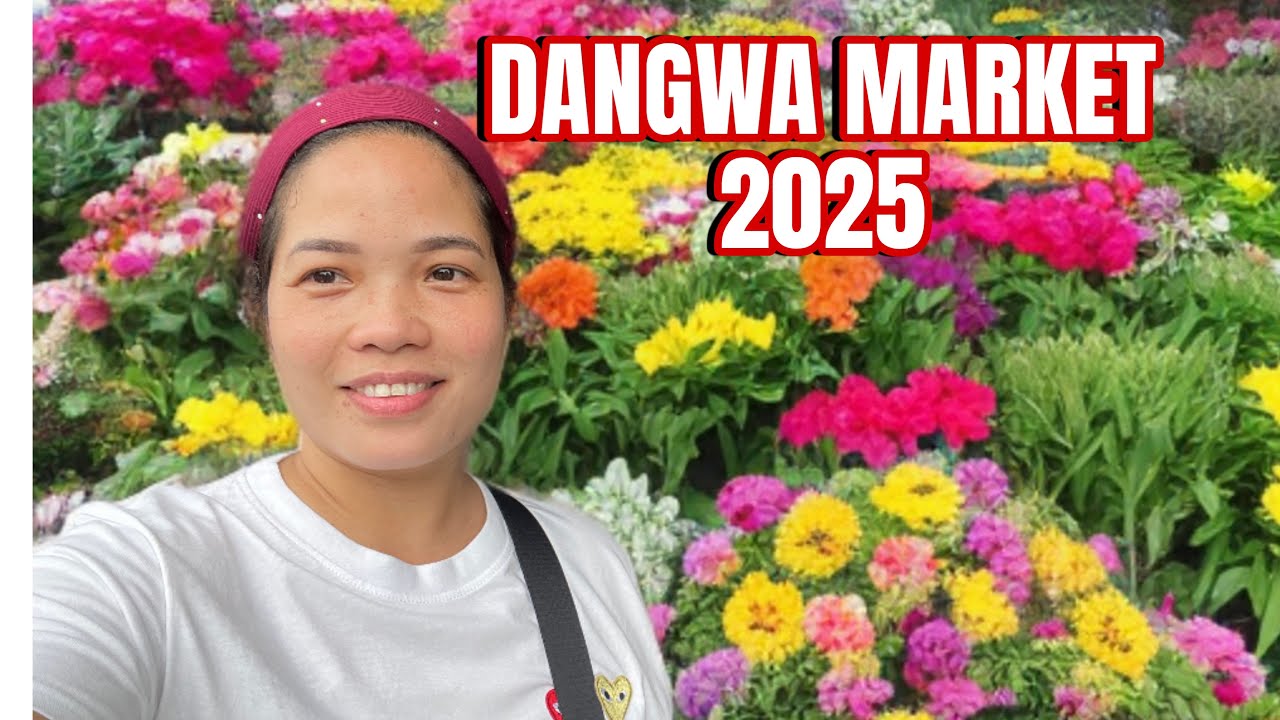 wholesale fresh flowers direct front DANGWA