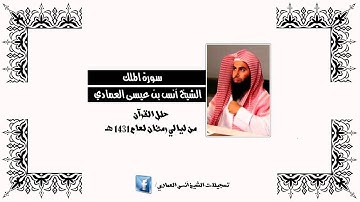 الشيخ أنس العمادي | سورة الملك