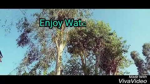 Output In Mathematics | Music Video | Life is Like Math