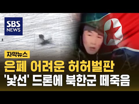 은폐 어려운 허허벌판…&amp;#39;낯선&amp;#39; 무기에 북한군 떼죽음 (자막뉴스) / SBS