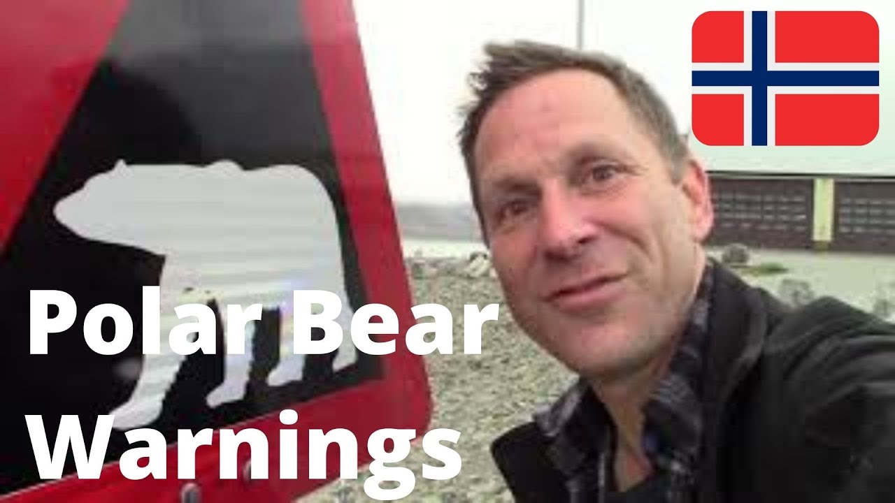 POLAR BEAR Warnings @ Svalbard Airport = Longyearbyen World's NORTHERNMOST Town (NORWAY on a Budget)