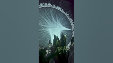 Network mapping via NASA