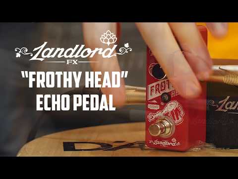 Landlord FX Frothy Head Echo Mini Pedal