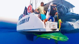 Living on our Boat in Bonaire! Catching Mahi and Freediving inside Underground Caves.