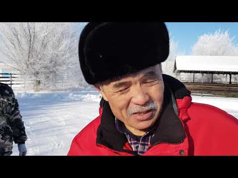 Видео: Амьдралаас таашаал авч сурах арга (өдөр бүр)