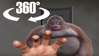 360° le monke breaks into your house and terrorizes you with his poop (ORIGINAL)