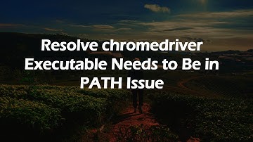 Resolve chromedriver Executable Needs to Be in PATH Issue