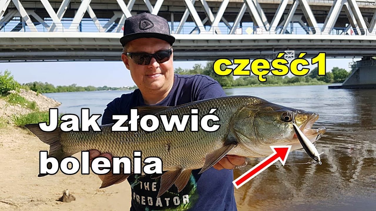 Jak i na co złowić bolenia na spinning cz1 - kąt natarcia przynęty