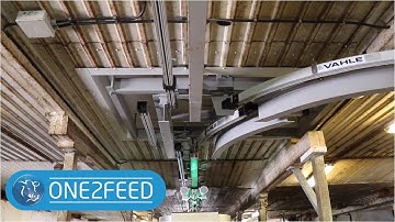 Switch Track - Automatic feeding