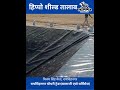 हिप्पो शील्ड तालाब #farming #hdpe #pondliner#wovenfabric #agriculture #waterstorage #rajasthanfarmer