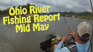 Ohio River fishing report for Mid May and this one was crazy
