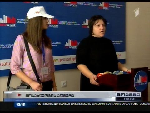 საქსტატის აღმასრულებელი დირექტორი - აღწერის დროს რამდენიმე ხარვეზი გამოვლინდა