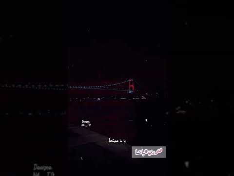 نصرت البدر و قائد حلمي Https Vt Tiktok Com ZSd9NbDJd K 1