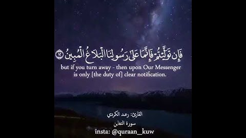 القارئ رعد الكردي - سورة التغابن - الآيات {11} {12} {13}