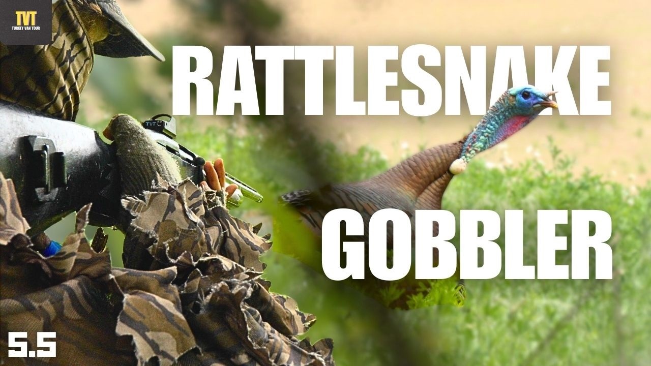 The CRAFTIEST GOBBLER I've ever hunted - GEORGIA PUBLIC LAND TURKEY HUNTING