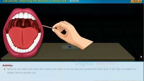 Unit-1 Cell its Structure and Functions | Telangana State Board - Class IX