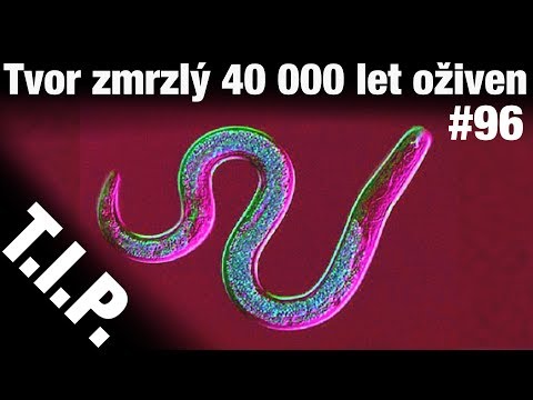 Video: Na Marsu Byly Objeveny Stromy A Jezera Alternativní Pohled