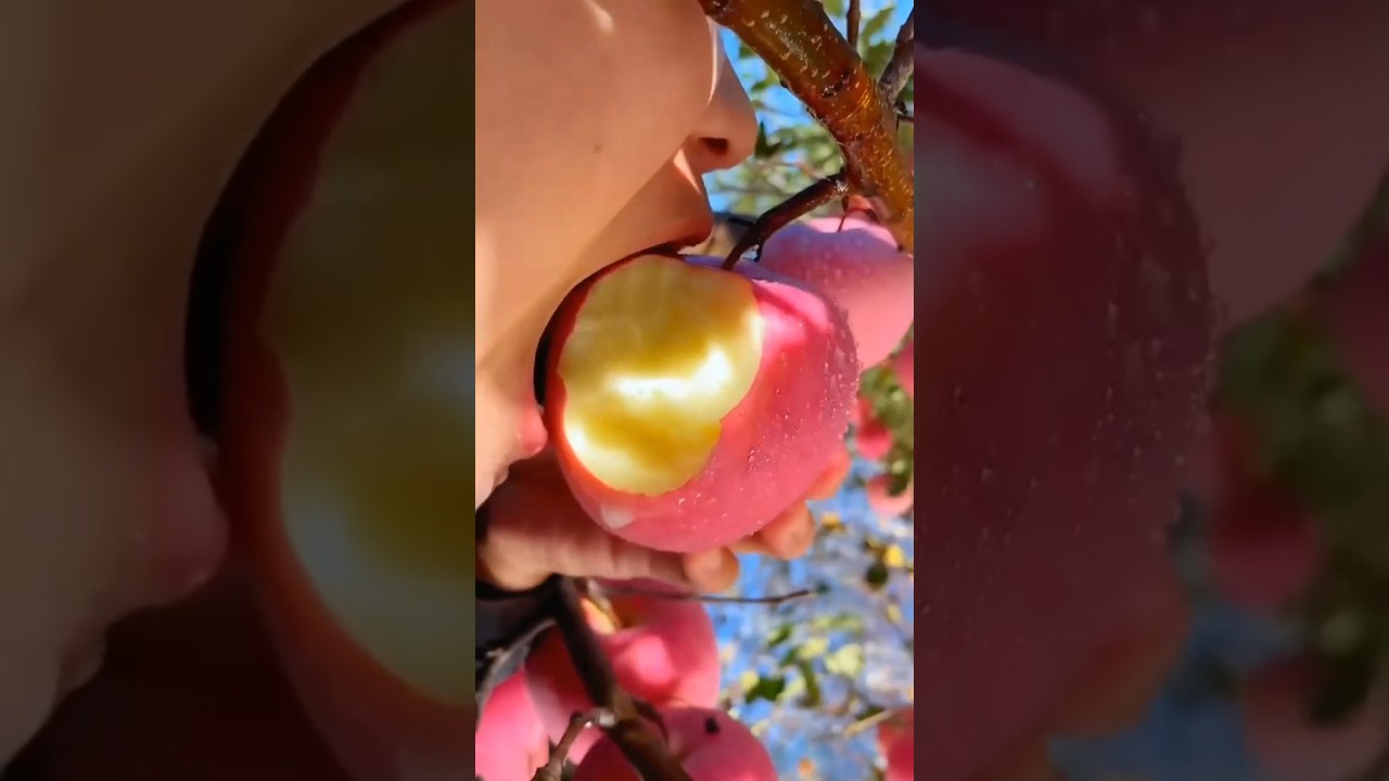 Apple Fruit Benefits | Delicious Apple Eating Benefits | Apple Khane Ke Fayde 