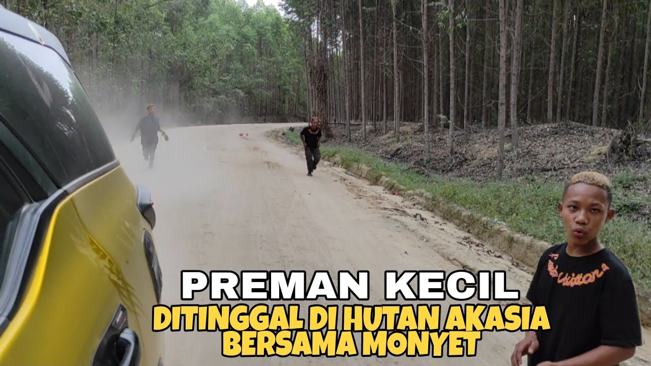 Preman Kecil Di Tinggal Di Hutan Akasia Saat Kasih Makan Monyet!
