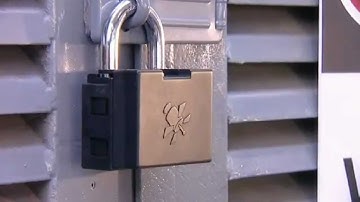 Trakpro Watchlock GPS Unit