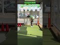 Year 3 Mini Golf Major #6 ROUND 1 (Hole 5) #golf #minigolf #viral #puttputt #major #playoffs
