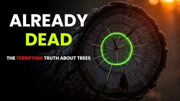 Every Tree You See Is Dead (The Terrifying Truth About Trees)