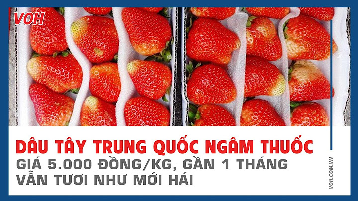 Dâu tây trung quốc giá bao nhiêu năm 2024