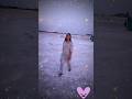 Neele Gagan Ke Tale Song Short Video Damping Yard mp3