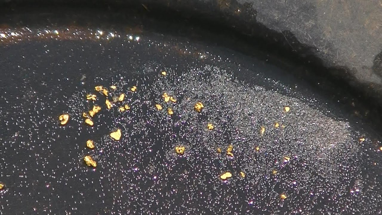 Panning Frog Spoof Gold