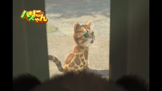 「パズにゃん/Kitten Match」特別な友達？！ by Kitten Stories「パズにゃん」 727,496 views 2 years ago 28 seconds