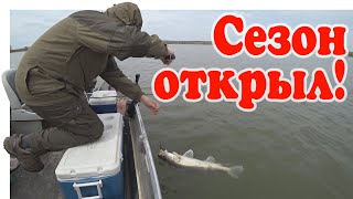 Ловля Судака На Волге \\ Fishing 2023 | #Vovabeer