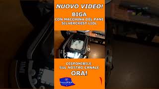 BIGA FATTA CON LA MACCHINA DEL PANE LIDL - NUOVO VIDEO (link in descrizione) #shorts #nuovovideo