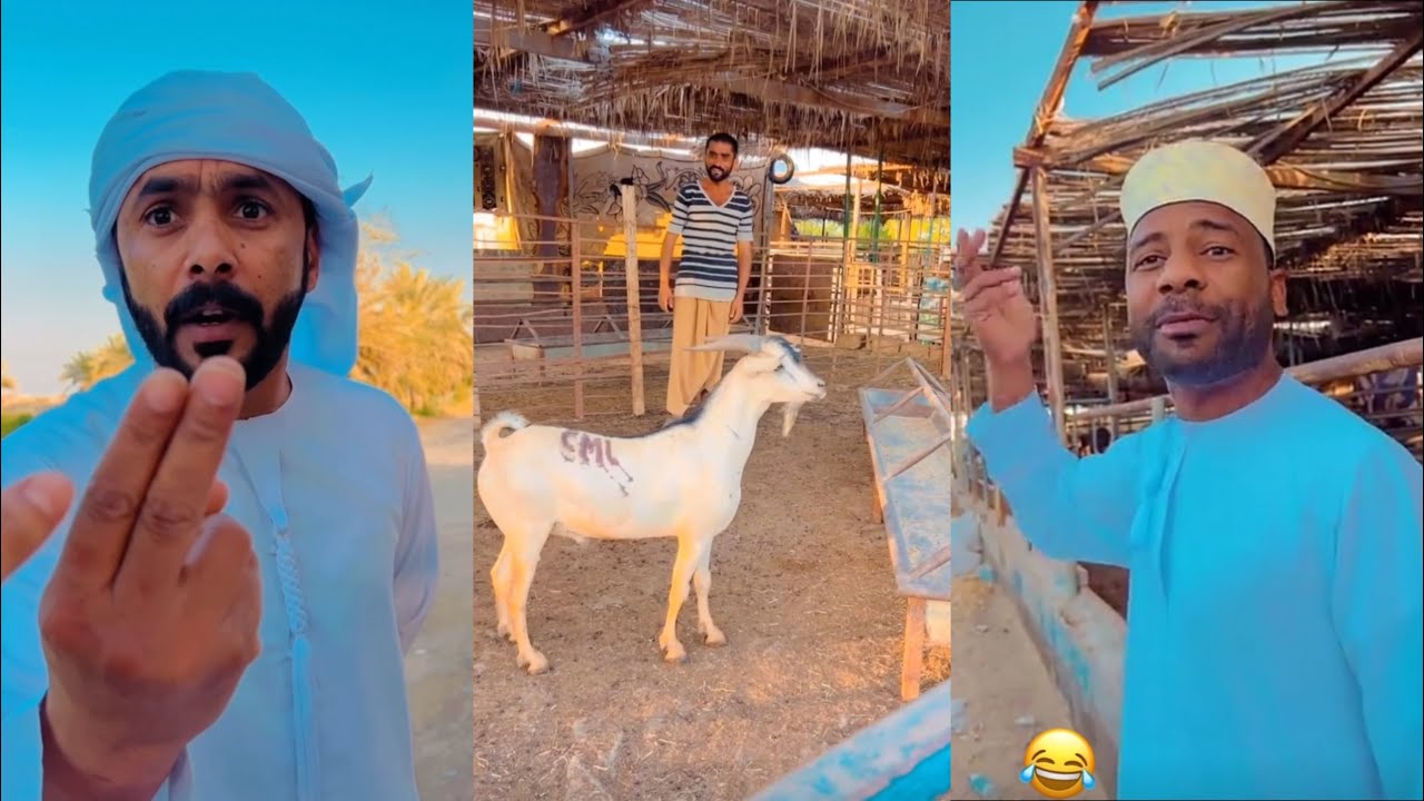 المدبل ف سوق الهوش 😂😂😂