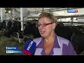 На ферме Ненецкой агропромышленной компании продолжается ремонт помещений для содержания коров