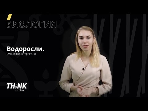 Водоросли и их общая характеристика | Биология