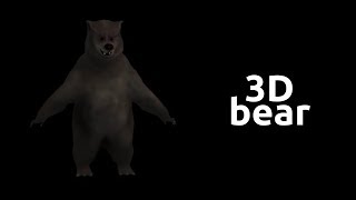 3D bear (Turntable)
