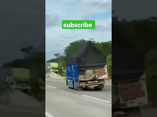 truk Wahyu abadi oleng di jalan tol 🤙 class=