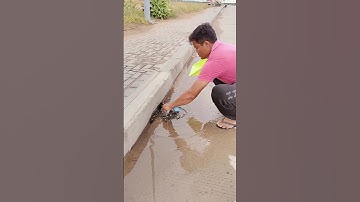 Unclog Culvert Drain Water #unclog #remove #culvert #drain #shorts