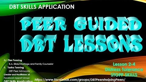 DBT Skills Application 2-4  STOPP