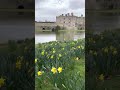 Leeds Castle in the Spring - #shorts