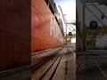 How big are the merchant ships vessel shipping ship shorts