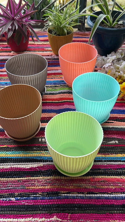 Mwesho Home Finds | Flower Pot | Combo | Pack of 6 | Garden Finds #shorts #yt #homedecor